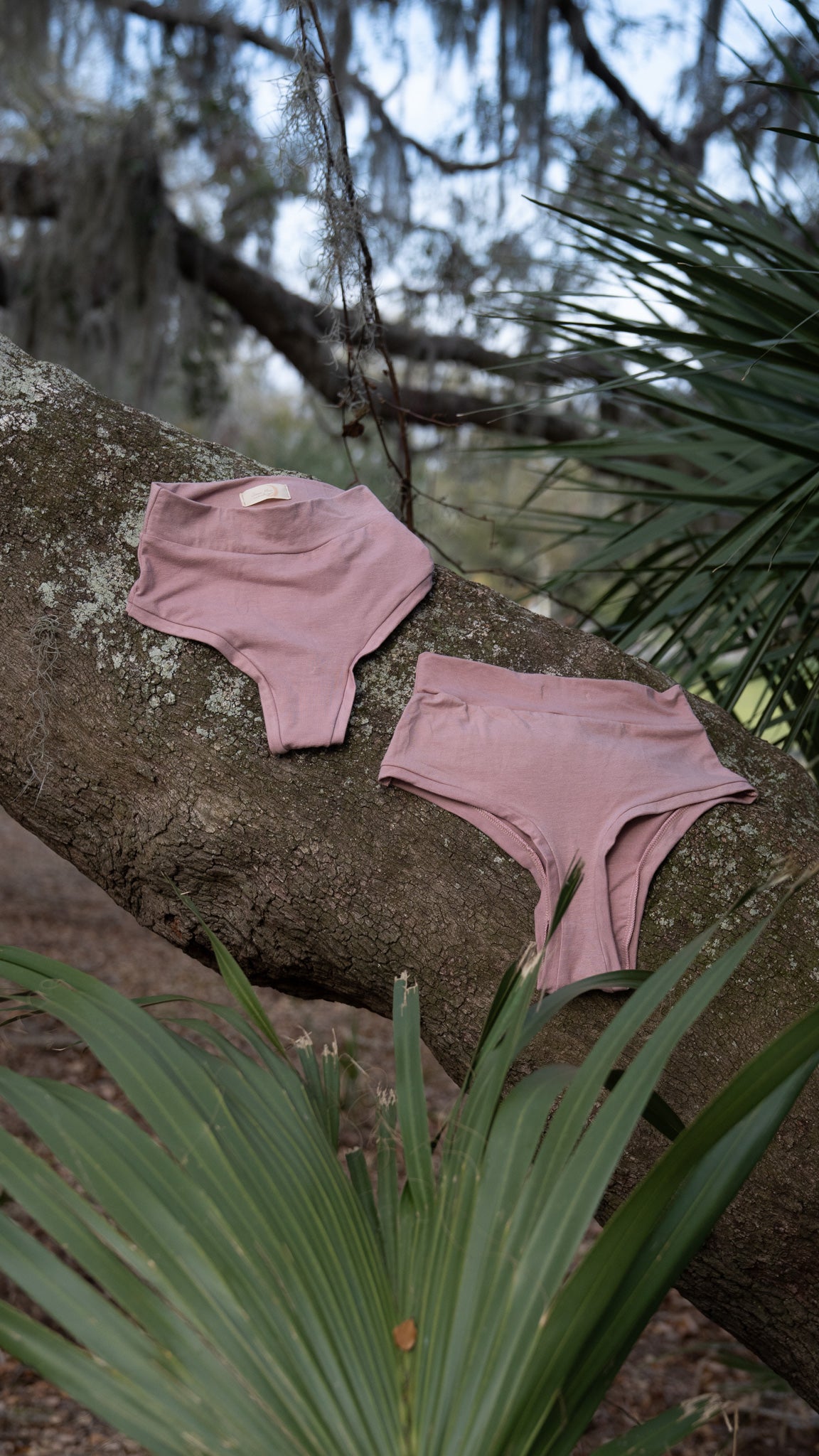 Kahlia Underthings (High Waist Thong) Blossom