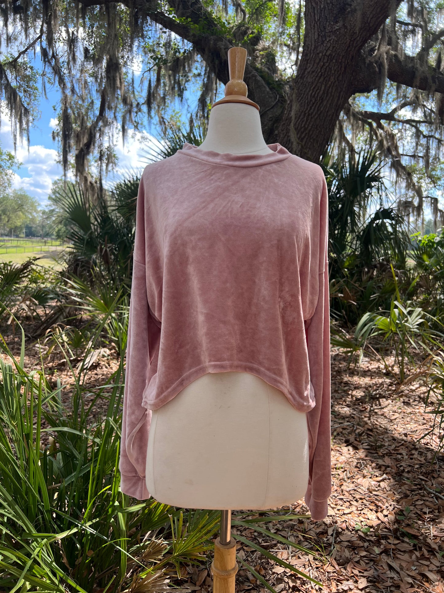 Cream Top (M/L Waist Length) Pink Bamboo Velour