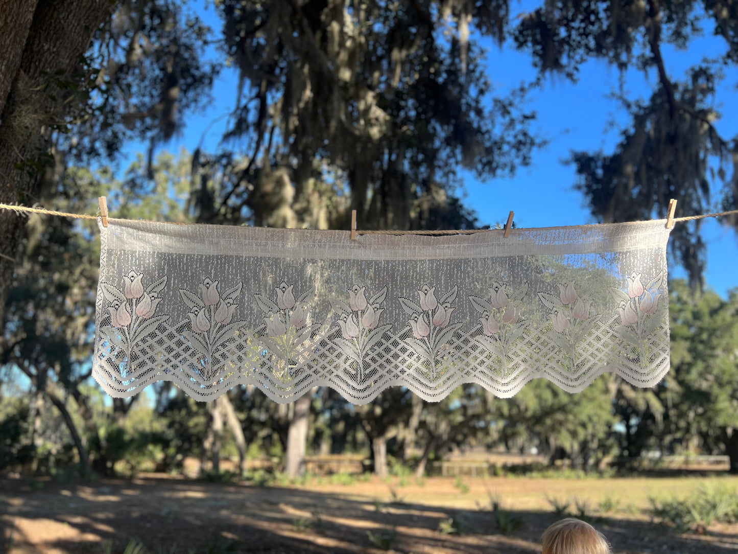 ✧ Tulip Detail Lace Curtains ✧