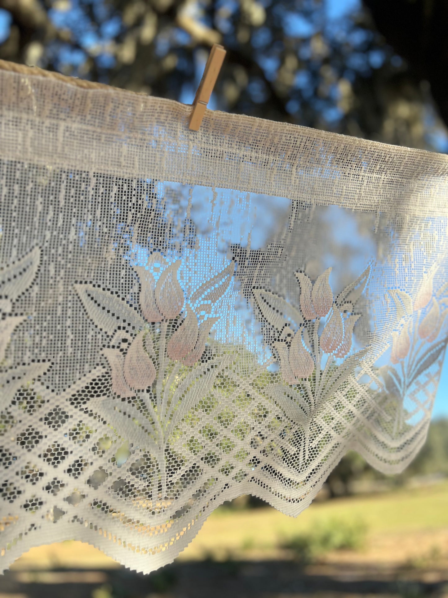 ✧ Tulip Detail Lace Curtains ✧