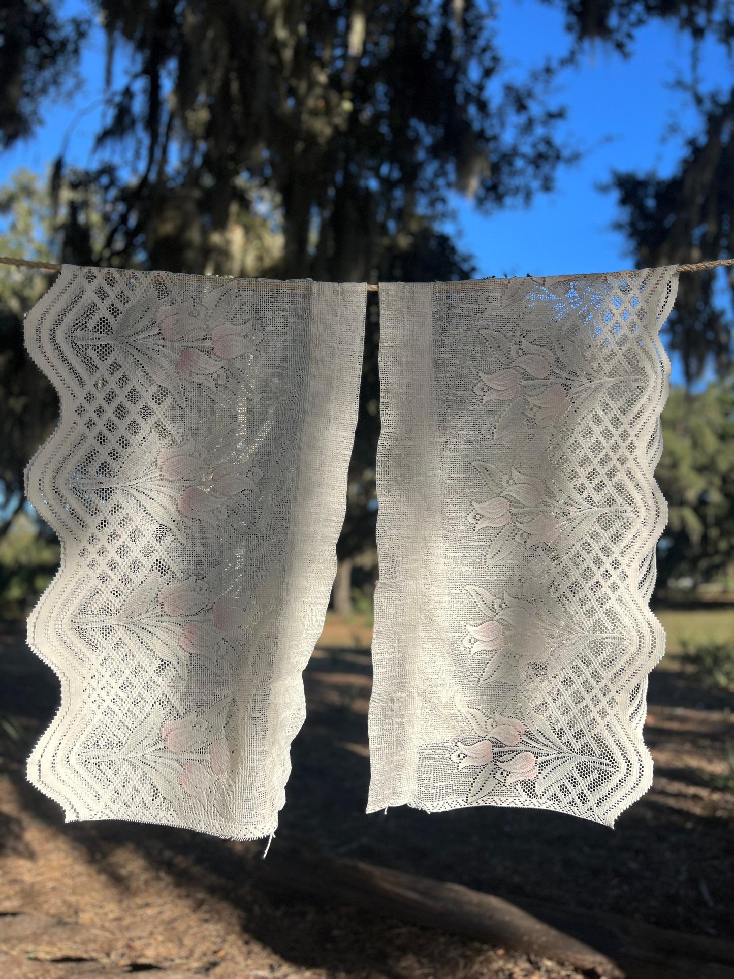 ✧ Tulip Detail Lace Curtains ✧